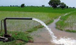 الموارد المائية : نعتمد السدود على نهري دجلة والفرات لتأمين مياه الشرب